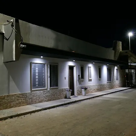 Cv Bell'aria - Orchidea *