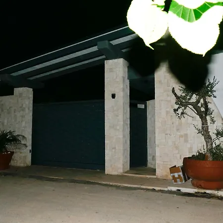 Cv Bell'aria - Orchidea *